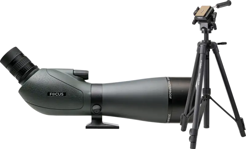 Kit Focus Viewmaster 20-60x80 with Velbon VM638