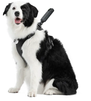 Insta360 Kæledyrssele til aktive kæledyr størrelse L