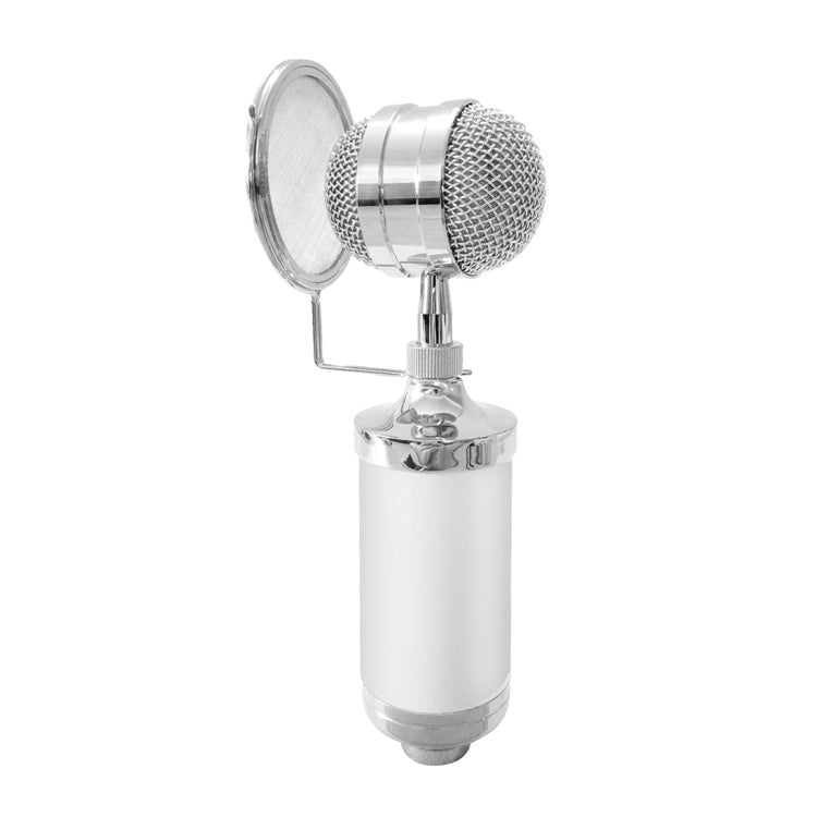 3000 Home KTV Mic Condenser - Kondensatormikrofon til hjemmestudiet