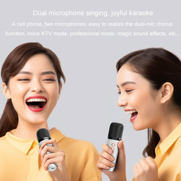 Bærbar Bluetooth-højttaler til hjemmet og udendørs, trådløs karaoke-lyd, Y5 1 mikrofon, Y5 2 mikrofon