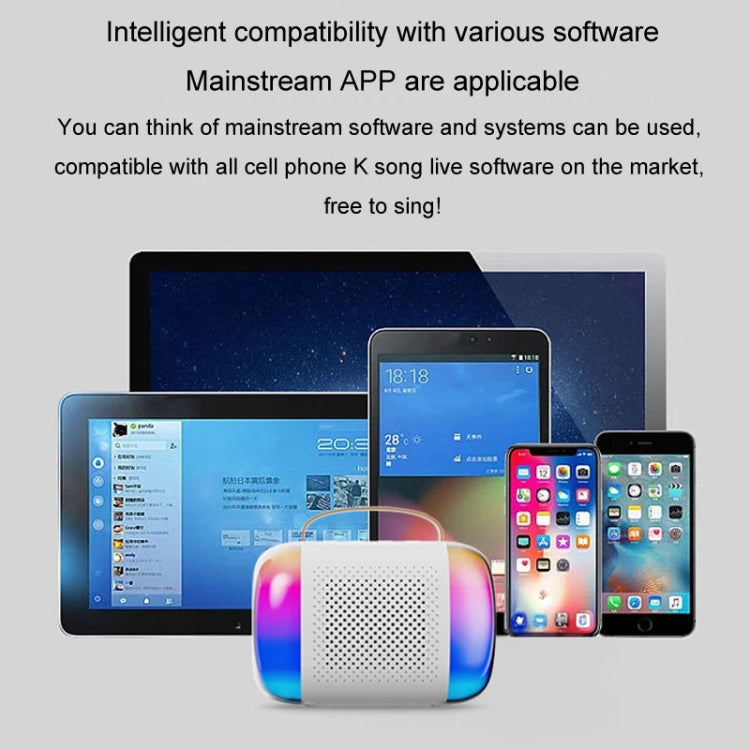 Bærbar Bluetooth-højttaler til hjemmet og udendørs, trådløs karaoke-lyd, Y5 1 mikrofon, Y5 2 mikrofon