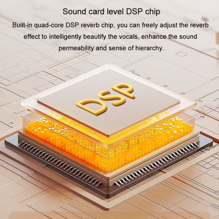 Bærbar Bluetooth-højttaler til hjemmet og udendørs, trådløs karaoke-lyd, Y5 1 mikrofon, Y5 2 mikrofon